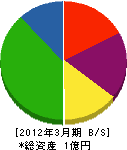 忠南環境 貸借対照表 2012年3月期