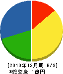 山本照明 貸借対照表 2010年12月期