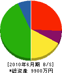 貝塚興業 貸借対照表 2010年6月期