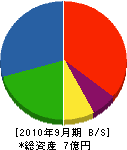 柴田電気工事 貸借対照表 2010年9月期