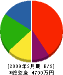 斎藤組 貸借対照表 2009年3月期
