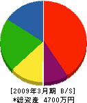斎藤組 貸借対照表 2009年3月期 斎藤組 貸借対照表 2009年3月期