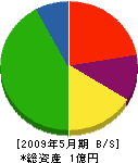 面田組 貸借対照表 2009年5月期