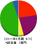 山本組 貸借対照表 2011年6月期