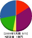 藤原工業 貸借対照表 2009年5月期