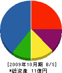 ハナヤマ 貸借対照表 2009年10月期
