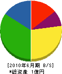 松本海事工業 貸借対照表 2010年6月期