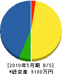 鈴木建設 貸借対照表 2010年5月期