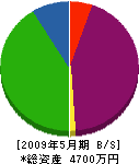 松原土木 貸借対照表 2009年5月期