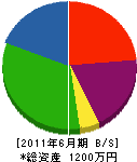 吉田建設 貸借対照表 2011年6月期