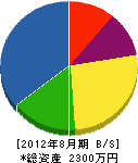 土田塗装 貸借対照表 2012年8月期