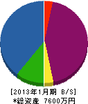 富士見電機 貸借対照表 2013年1月期
