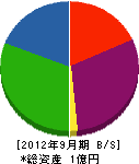 川腰電気商会 貸借対照表 2012年9月期