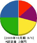 寺田工務店 貸借対照表 2009年10月期