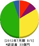 新井商事不動産社 貸借対照表 2012年7月期