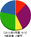 井上総合緑化建設 貸借対照表 2012年9月期