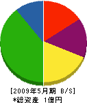 ヤマエ臣繁 貸借対照表 2009年5月期