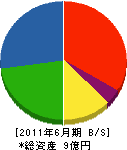 長崎組 貸借対照表 2011年6月期