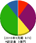 三共 貸借対照表 2010年9月期