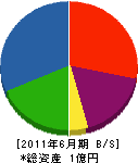 丸稲興業 貸借対照表 2011年6月期
