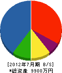 大川水道設備 貸借対照表 2012年7月期