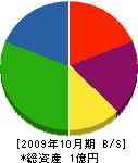 樫山組 貸借対照表 2009年10月期