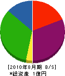 日枝建設 貸借対照表 2010年8月期