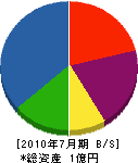 長塚工業 貸借対照表 2010年7月期