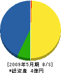 武田建設 貸借対照表 2009年5月期