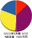 丸松電気 貸借対照表 2012年5月期