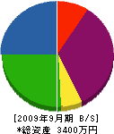 田村電気工業 貸借対照表 2009年9月期