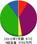 大槻建設 貸借対照表 2012年7月期