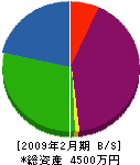 松栄電気 貸借対照表 2009年2月期