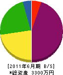 小郷畳店 貸借対照表 2011年6月期
