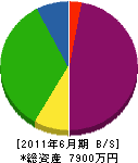 長谷川建設 貸借対照表 2011年6月期
