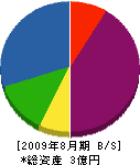 野崎工務店 貸借対照表 2009年8月期