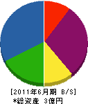田中建材 貸借対照表 2011年6月期