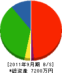 澤山電設 貸借対照表 2011年9月期