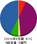 池田建設 貸借対照表 2010年8月期