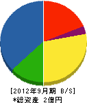 横田建設 貸借対照表 2012年9月期