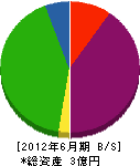 沖川木材 貸借対照表 2012年6月期