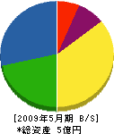 佐藤建設 貸借対照表 2009年5月期