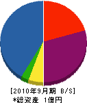 野沢土建 貸借対照表 2010年9月期