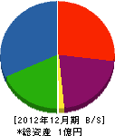 渡辺設備工業 貸借対照表 2012年12月期