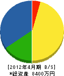嵩山緑花木 貸借対照表 2012年4月期