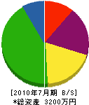 四国光楠 貸借対照表 2010年7月期