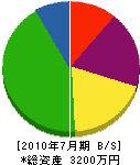 四国光楠 貸借対照表 2010年7月期 四国光楠 貸借対照表 2010年7月期