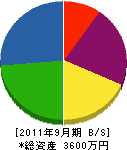 瀬田塗装工業 貸借対照表 2011年9月期