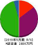 塚田建設 貸借対照表 2010年5月期