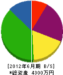 粟飯原電気 貸借対照表 2012年6月期
